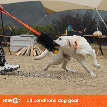 HOWGO Dog Rope Toy,Dog Bungee Chaser Toy 100% Sheepskin,Sheep Smell Tug Toy for All Breeds (Orange, with Rubber Ball)