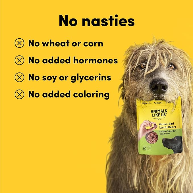 Premium Dog Treats, Freeze-Dried Raw 100% Grass-Fed Lamb Heart, Single Ingredient, Protein Rich, Non-GMO, No Wheat or Corn, 3 oz