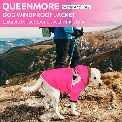 Queenmore Warm Dog Winter Coat, Cold Weather Waterproof Snow Jacket with Reflective Hoodie and Long Sleeves for Small to Large Dogs