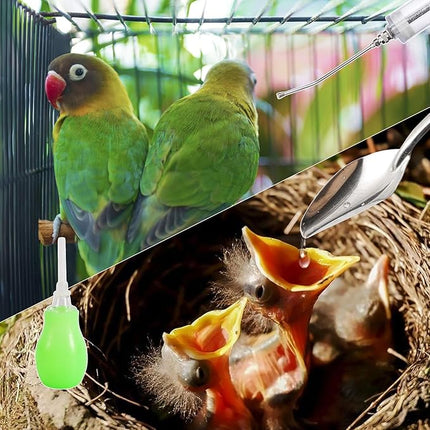20ML Baby Bird Feeding Syringe Set Pet Syringe with 6 Pcs Curved Gavage Feeding Tubes and Bird Drinker Stainless Steel Metal Feeding Spoon for Baby Birds Parrot Small Pet
