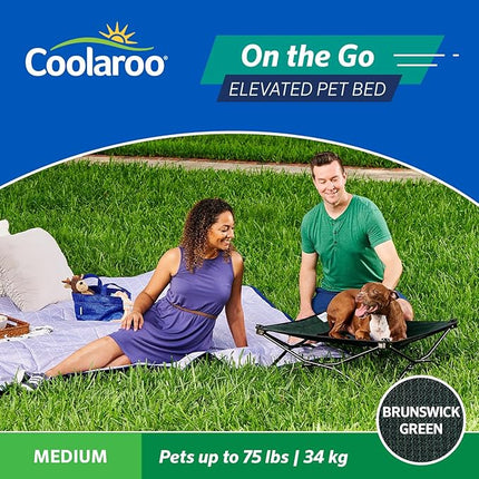 Coolaroo On-The-Go Elevated Dog Bed - Foldable Pop-Up Travel Dog Bed with Breathable, Moisture-Resistant Fabric, Carry Bag Included, Lightweight & Portable, Brunswick Green, Medium