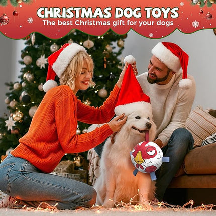 QDAN Dog Balls Toys, Dog Soccer Ball Toy Soccer Balls with with Straps, Dog Toys, Pet Puppy Birthday Gifts for Small Medium Dogs, 6 Inch, Chicken Ball