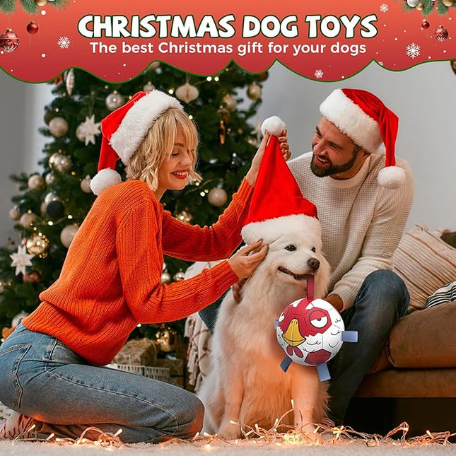 QDAN Dog Balls Toys, Dog Soccer Ball Toy Soccer Balls with with Straps, Dog Toys, Pet Puppy Birthday Gifts for Small Medium Dogs, 6 Inch, Chicken Ball