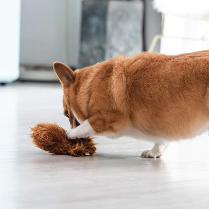 STAR WARS for Pets Plush Chewbacca Flattie Dog Toy | Soft Toys for Dogs, Brown, Large - 9" | Cute Dog Toy, Squeaky Dog Chew Toy for Pets from