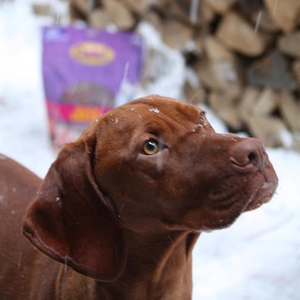 Cadet Gourmet Duck Breast Jerky Dog Treats, Healthy, Long-Lasting High-Protein Training Treats for Small & Large Dogs, 28 oz.