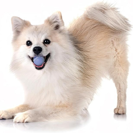 Playology Dog Toys | Squeaky Chew Ball - Bouncy Durable Floating Fetch Ball for Dogs, Value 3-Pack | Small Blueberry Scented Toy - Easy to Clean and Made from Non Toxic Materials