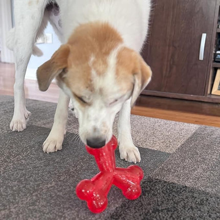 SPOT Play Strong Trident Bone - Durable TPR Long Lasting Dog Chew for Aggressive Chewers, Hole for Treats, Virtually Indestructible Toy for Large Dogs & Puppies up to 90lbs - 6 inch