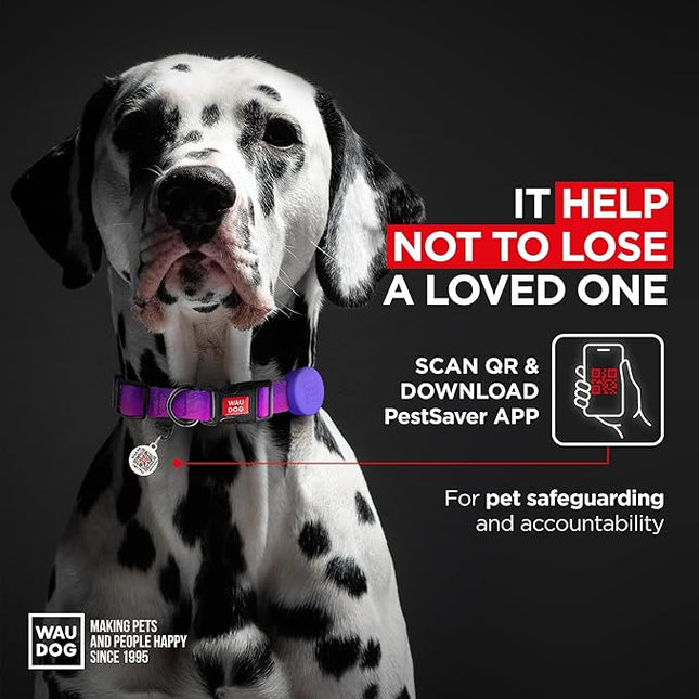 Dog Collar Nylon Dog Collar with Air Holder - Adjustable for Large Dogs, Small & Medium Dogs - Puppy Collars for Large Breed Dogs - Boy & Girl Collars