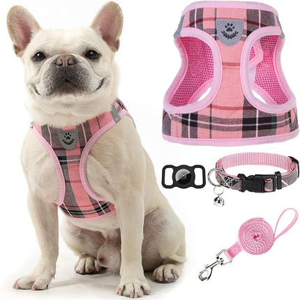 EXPAWLORER Classic Plaid Puppy Harness - Small Dog Harness and Leash Set - Dog Collar and Leash Set with AirTag Holder, Soft Padded Step in Dog Vest Harness No Pull Reflective for Outdoor, Pink XXS
