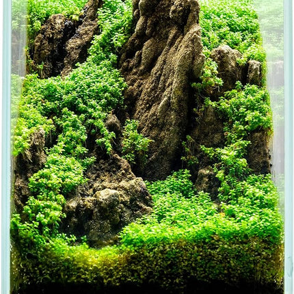 Ultum Nature Systems Ultra Clear Rimless Aquarium - Low Iron Glass Fish Tank with 45° Mitered Edges, 5mm-12mm Thick, Leveling Mat Included (16T, Tall, 1.6 Gallon)