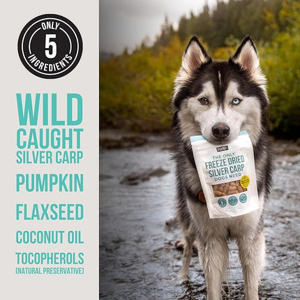 Natural Rapport Freeze Dried Fish Dog Treats - The Only Freeze Dried Carp Dogs Need -Single Ingredient, All Natural Dog Treats for Small and Large Dogs (3.5 oz)