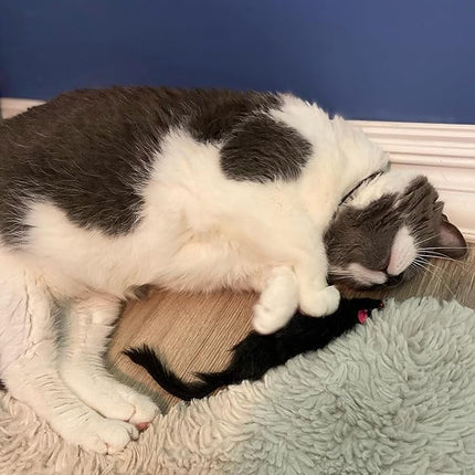 SPOT Shaggy Plush Ferret - Interactive Rattle and Catnip Fuzzy Toy for Indoor Cats and Kittens, Large Size Perfect for Pouncing, Chasing, Hunting, 11 Inches (Pack of 2)