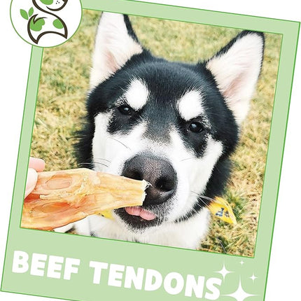 Nature Gnaws Beef Tendons for Dogs (8oz) - Mixed Thickness - Long Lasting for Small and Medium Dogs - Natural Beef Jerky Dog Chew Bones - Rawhide Free