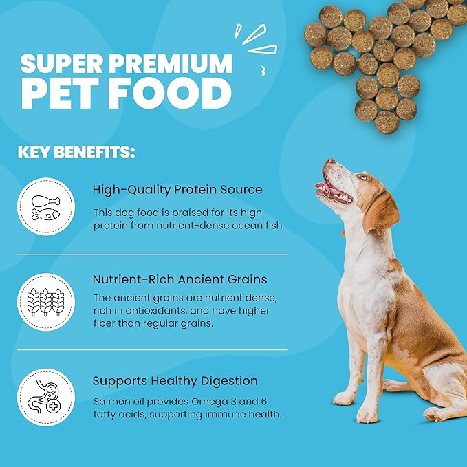 Muenster Ancient Grains Ocean Fish Dry Dog Food, 12lb (Pack of 3) - Gluten-Free, High Protein, Digestive Support