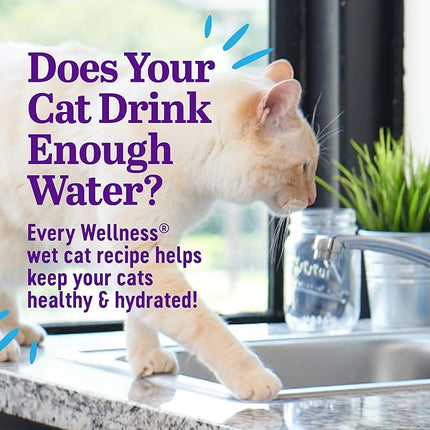 Wellness Appetizing Entrées Mousse Adult Wet Cat Food, Natural, Protein-Rich, Grain Free, 1.4 Ounce Pouch, 8 Pack (Chicken Recipe)