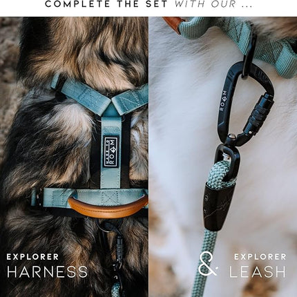 Made to ROAM Premium Explorer Control Collar - Adjustable Heavy Duty Nylon Dog Collar with Quick-Release Metal Buckle and Handle (Utah Glow, Control Size 5)