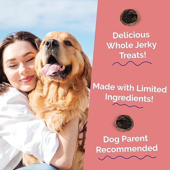 Fruitables Whole Jerky Bites, Healthy Dog Treats, Puppy Essentials, Jerky Dog Treats, Made in the USA, No Artificial Ingredients, Alaskan Salmon & Pear Flavor, 5oz