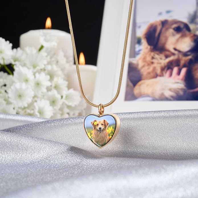 Fanery Sue Pet Ashes Necklace Cremation Jewelry Personalized Picture&Quote Memorial Gifts for Loss of Dog/Cat Urn Necklaces Pets Loss Sympathy Gift Keepsake for Women
