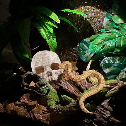 Carefree Fish Aquarium Decoration Skull Fish Tank Head Skeleton Aquarium Decorative Cave Landscape Pet Reptile House