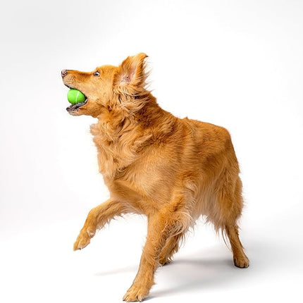 Playology Dog Toys | Squeaky Chew Ball - Bouncy Durable Floating Fetch Ball for Dogs | Medium Sweet Potato Scented Toy - Easy to Clean and Made from Non Toxic Materials