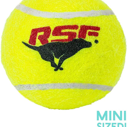 Franklin Pet Supply Co. RSF Squeak Mini 1.75" Tennis Balls - Dog Toy Squeaks When Squeezed - 12 Pack - for Small Dogs - Squeaker Noise