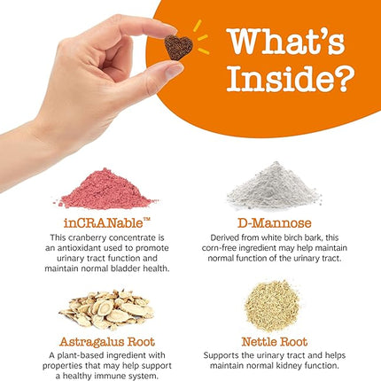 Zesty Paws Cranberry Supplement for Dogs - Bladder Control for Dogs - Urinary Tract Support - Cranberry Chews - Immune & Gut Support - Chicken - 90 Count