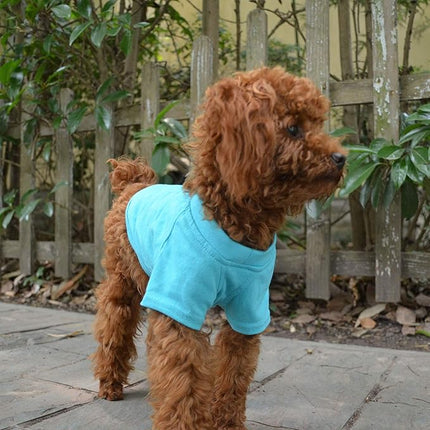 Lovelonglong 2019 Pet Clothing Dog Costumes Basic Blank T-Shirt Tee Shirts for Small Dogs Turquoise L