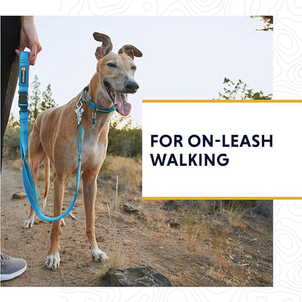 Ruffwear, Web Reaction Dog Collar, Escape-Proof Security Buckle, Adjustable Anti-Slip Martingale Collar with Durable Nylon Tubelok Webbing & Silent ID Attachment, Basalt Gray, 14"-17"