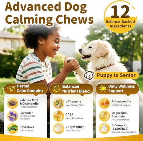 Calming Chews for Dogs – 12-in-1 Dog Calming Treats with Herbal & Vitamins, Relaxation, Focus & Behavior Support for Anxiety, Separation, Barking, Travel, Stress, Upgraded Bacon Flavor, 90 Ct