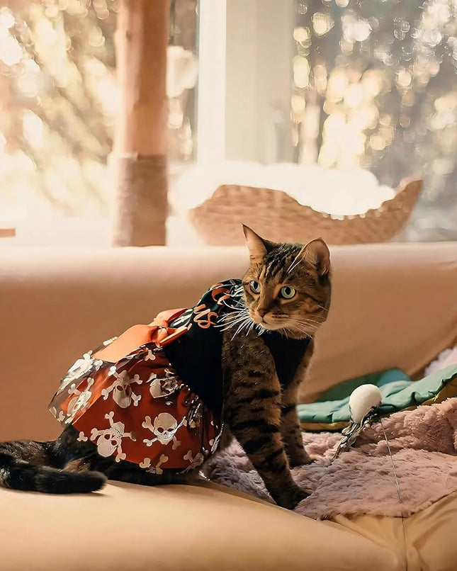 Fitwarm Hocus Pocus Y'all Funny Dog Halloween Tulle Dress, Holiday Dog Clothes for Small Dogs Girl, Funny Pirate Skull Pet Costume, Witch Cat Outfit, Orange, Black, XS