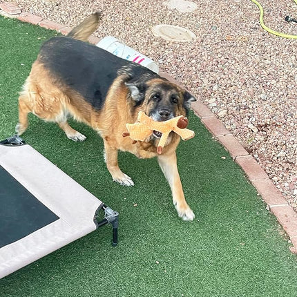 Jalousie Multipack Dog Squeaky Toys Strong Almost Indestructible, with Added Liner for Longer Play Dog Chew Toys (Medium to Large Breeds, 5 Pack Checks for Aggressive Chewers)