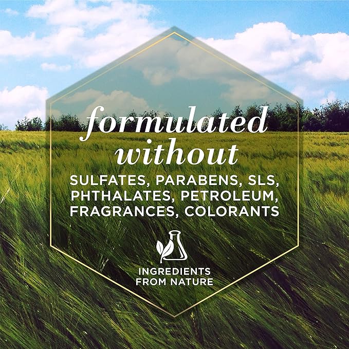 Burt's Bees for Pets Shed Control Shampoo for Dogs with Omega-3 and Vitamin E, 6pk, 99.7% Natural Origin Formulas, Dog Shampoo for Reducing Shedding - Deshedding Dog Shampoo, 6pk, 16 oz