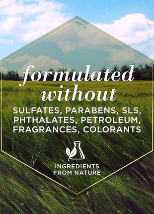 Burt's Bees for Pets Multipurpose Dog Wipes with Honey, 98% Natural Origin Formulas, Hypoallergenic Dogs Wipe, Canine Cleaning Sheets for Paws and Butt, 3 pk, 50ct