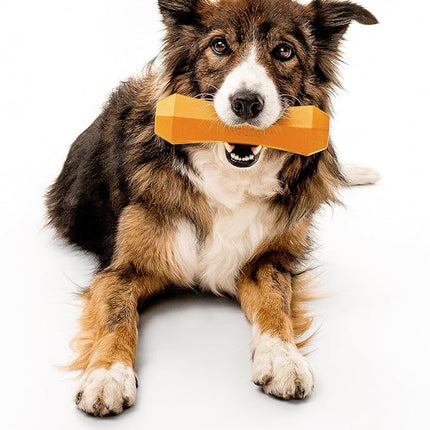 Playology Dog Toys | Durable Squeaky Chew Stick for Dogs | Jumbo Cheddar Cheese Scented Toy - Easy to Clean and Made from Non Toxic Materials