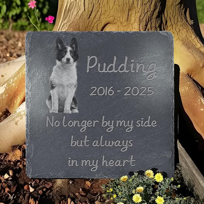 Personalized Pet Memorial Stone, Dog Memorial Gifts, Pet Loss Sympathy Gift, in Memory of Dog Cat - Always in My Heart（Square）