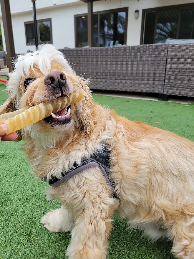 hotspot pets Premium Beef Trachea for Dogs 6" Strips Split (10 Pack) All Natural Grass-Fed Beef Dog Chews, Rich in Glucosamine Chondroitin for Joint Health, Single Ingredient No Rawhide Dog Treats