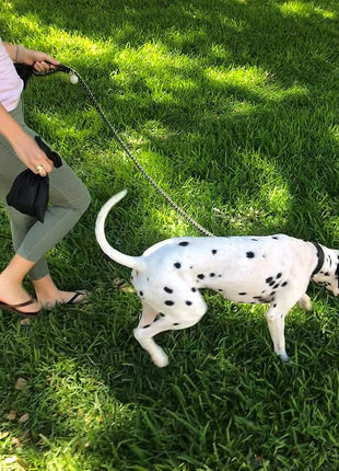 BioBag Premium Pet Waste Bags, Standard Size, 200 Count, Great For All Dog Breeds, Fits in Standard Park Dispensers