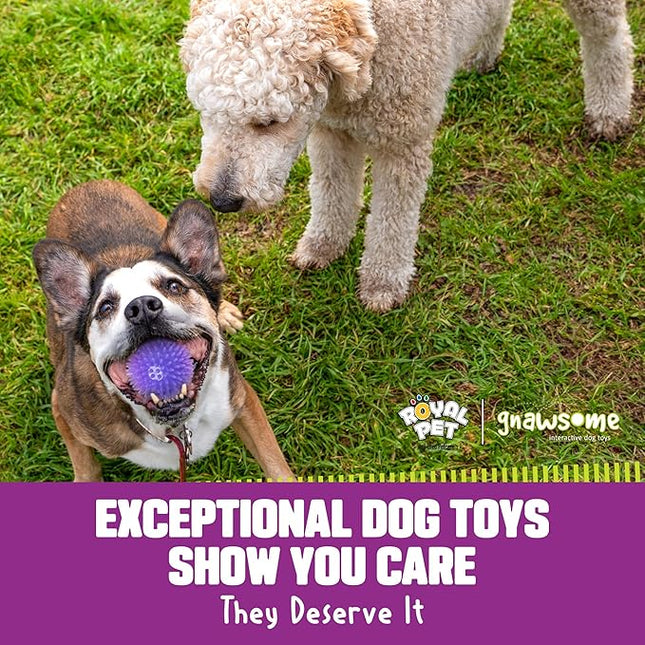 Gnawsome™ 3.5” Spiky Squeak & Light Ball Dog Toy - Medium, Cleans Teeth and Promotes Good Dental and Gum Health for Your Pet, Colors will vary, 3.5"