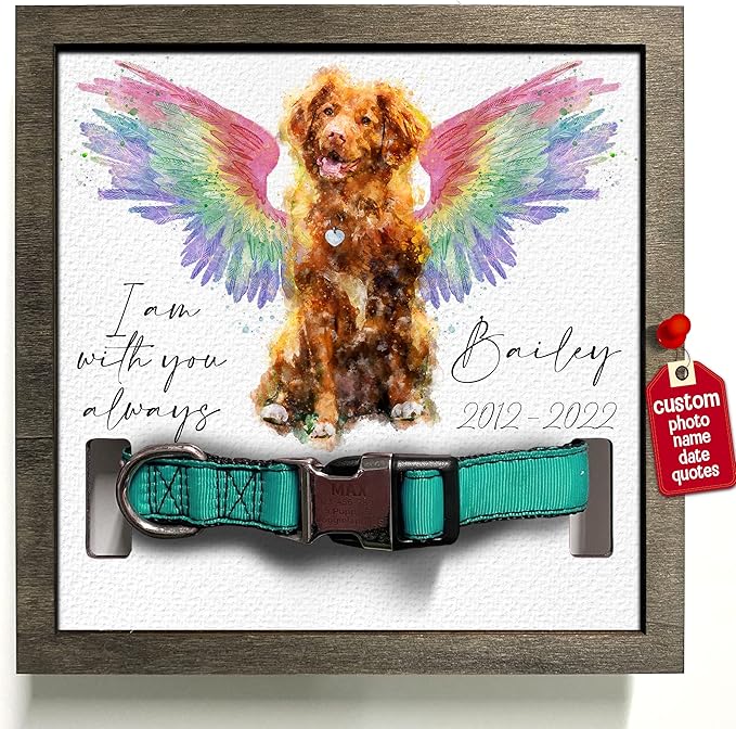 Personalized Pet Memorial Gifts Water Color Dog Angel Wings Picture Frame Pet Loss Gift Dog Custom Cat Picture Collar Frames Heartfelt Sentimental Quote Memorial Plaques Rainbow Bridge Pet