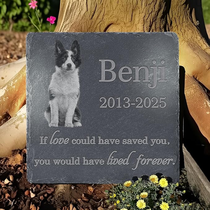 Personalized Pet Memorial Stone, Dog Memorial Gifts, Pet Loss Sympathy Gift, in Memory of Dog Cat - Lived Forever（Square）