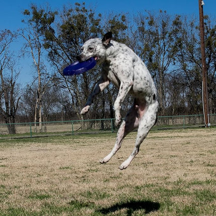 Starmark Easy Glide DuraFoam Flying Disc Dog Toy, Color Varies 11"