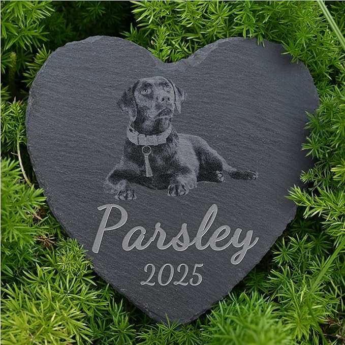 Personalized Pet Memorial Stone, Dog Memorial Gifts, Pet Loss Sympathy Gift, in Memory of Dog Cat - in Memory of Pet（Heart）