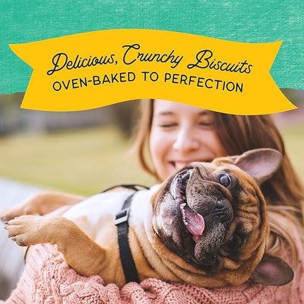 Natural Balance Limited Ingredient Rewards Crunchy Biscuits, Grain-Free Dog Treats for Adult Dogs of All Breeds, Chicken Recipe, 14 Ounce (Pack of 1)