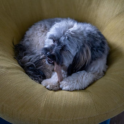 Petstages Outward Hound Super Dogwood Durable Dog Chew Toy, Extra Small - Long Lasting Chew Stick Made with Real Wood - USA Made, XS