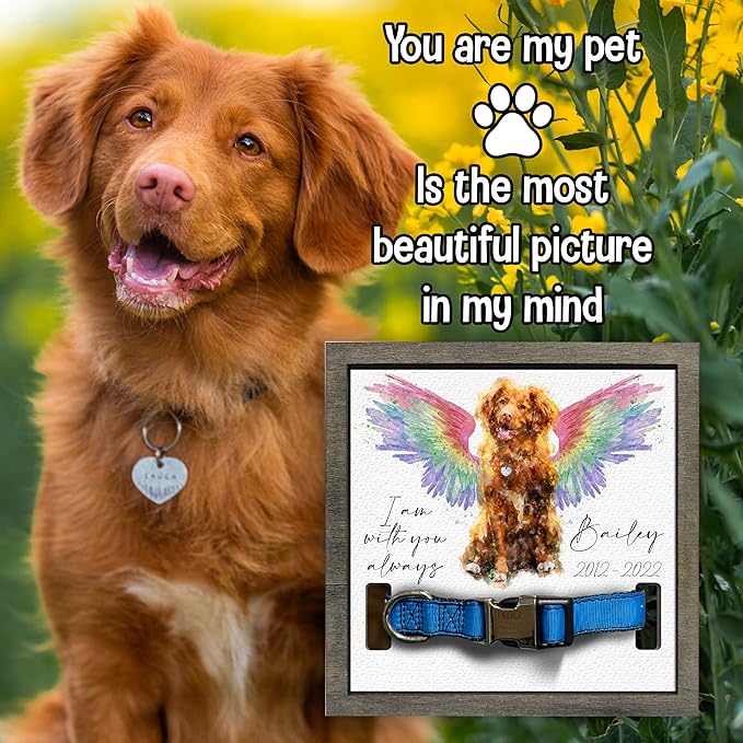 Personalized Pet Memorial Gifts Water Color Dog Angel Wings Picture Frame Pet Loss Gift Dog Custom Cat Picture Collar Frames Heartfelt Sentimental Quote Memorial Plaques Rainbow Bridge Pet
