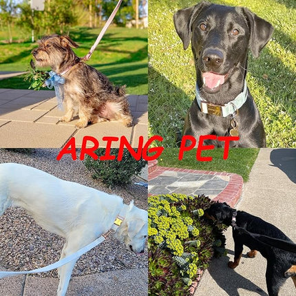 ARING PET Velvet Dog Collar Set, Cute Velvet Dog Collar and Leash Set, Soft & Comfy, Adjustable Christmas Red Collars with Metal Buckle for Small Medium Large and Girl Boy Dogs