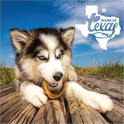 N-Bone Puppy Teething Rings Taste of Texas Queso Con Carne Flavor 3 Count