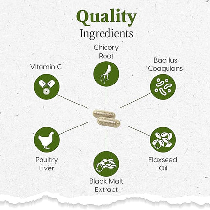 Ark Naturals Gentle Digest Capsules, Vet Recommended Prebiotics and Probiotics to Support Intestinal Balance and Immune System Health in Dogs and Cats, Natural Ingredients, 60 Count