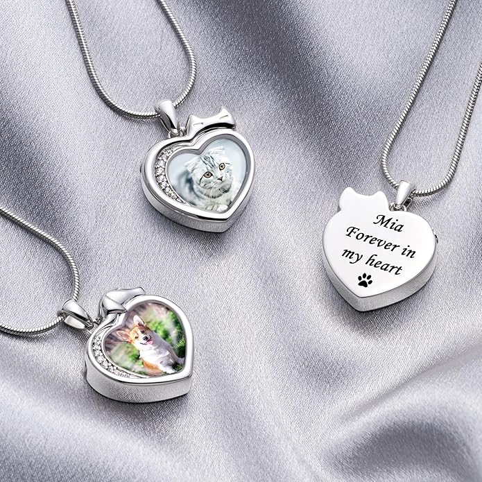 Farfume Personalized Pet Urn Necklace for Dog Cat Ashes Cremation Pet Memorial Customized Photo Text Engraving Pendant Keepsake Funeral Jewelry