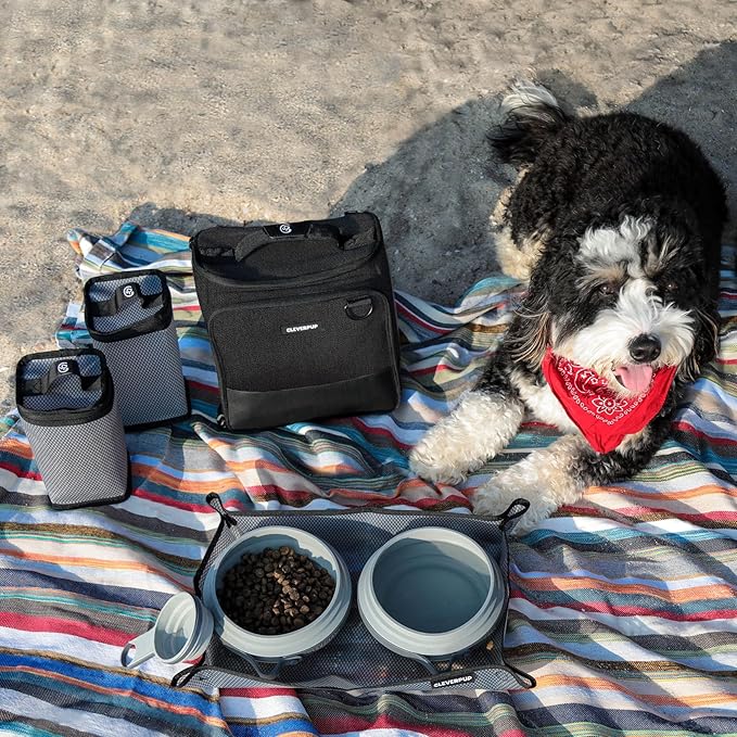 Large 7-Piece Bistro Box Dog Food Travel Kit, 12-Cup Kibble Storage, 2 Silicone Bowls, Mat & Scoop - Premium Portable Pet Food Kit for Weekends, Overnights, Daycare & Camping, Graphite